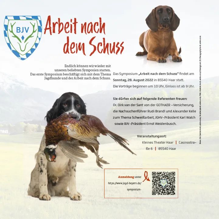 Arbeit nach dem Schuss