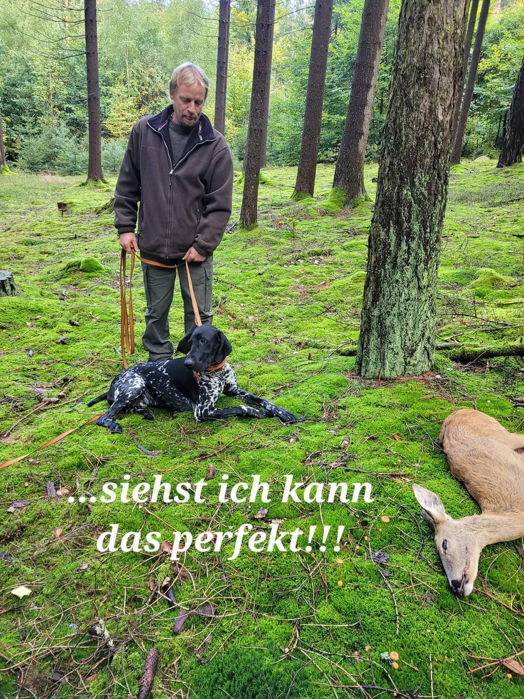 Brauchbarkeitsprüfung 2022 41