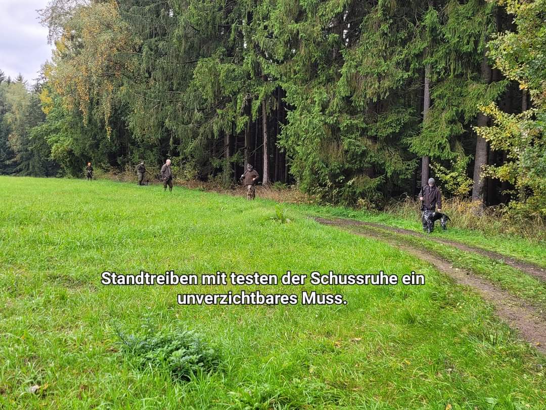 Brauchbarkeitsprüfung 2022 51