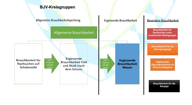 Brauchbarkeitsprüfung Schema