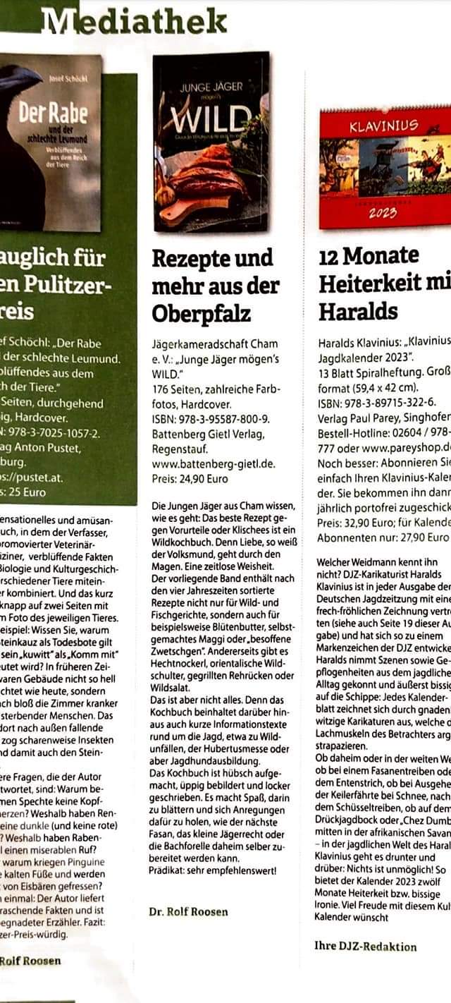 DJZ Bewertung 41